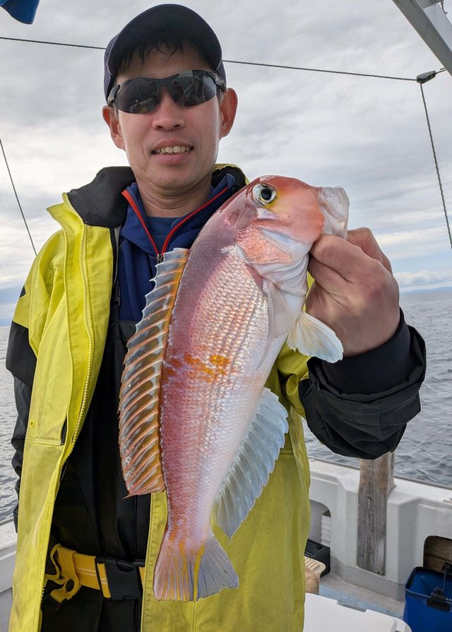 アマダイ(アカアマダイ)