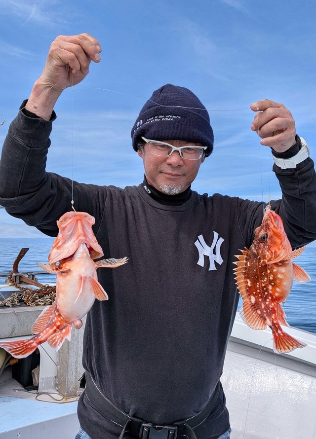 ウッカリカサゴ