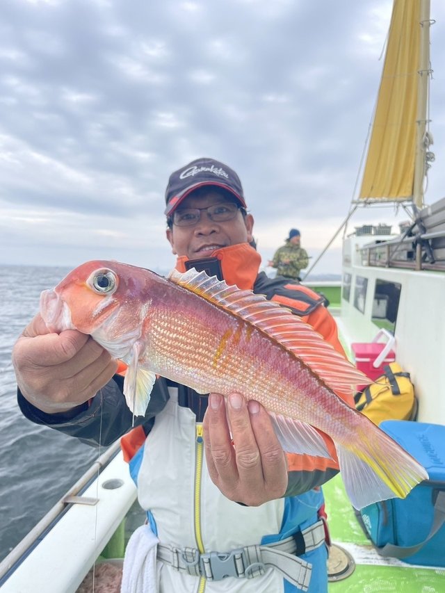 アマダイ(アカアマダイ)