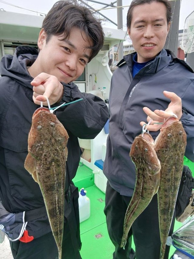 マゴチ