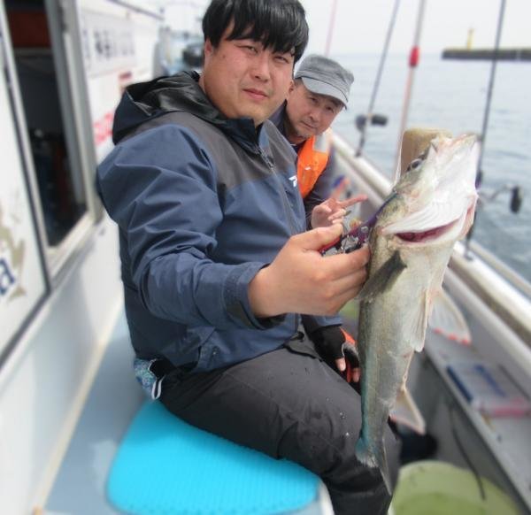 シーバス(スズキ)