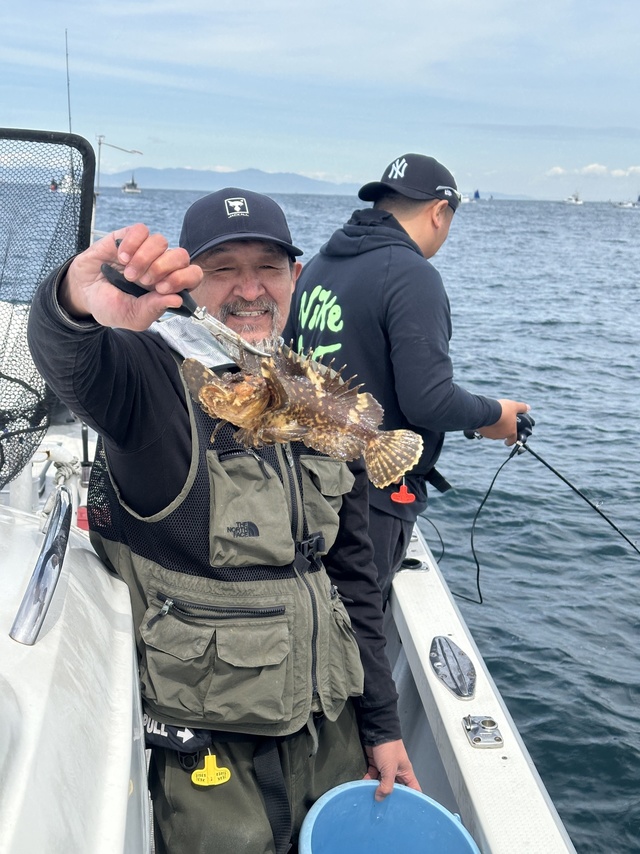 オコゼ(オニオコゼ)