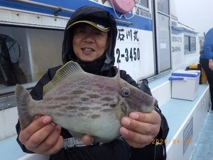 カワハギ