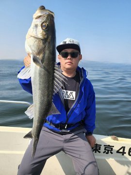 シーバス(スズキ)