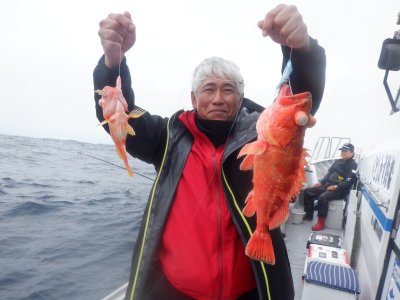 カサゴ