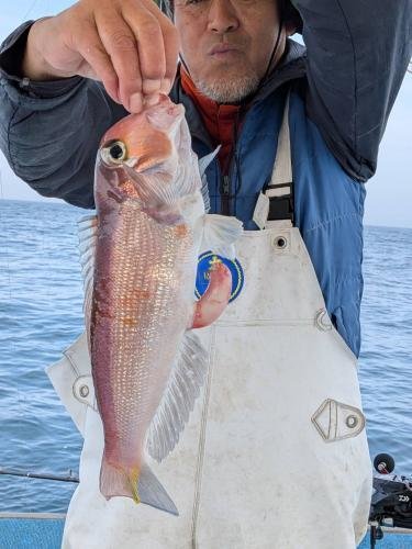 アマダイ(アカアマダイ)