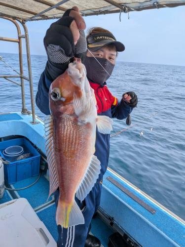 アマダイ(アカアマダイ)