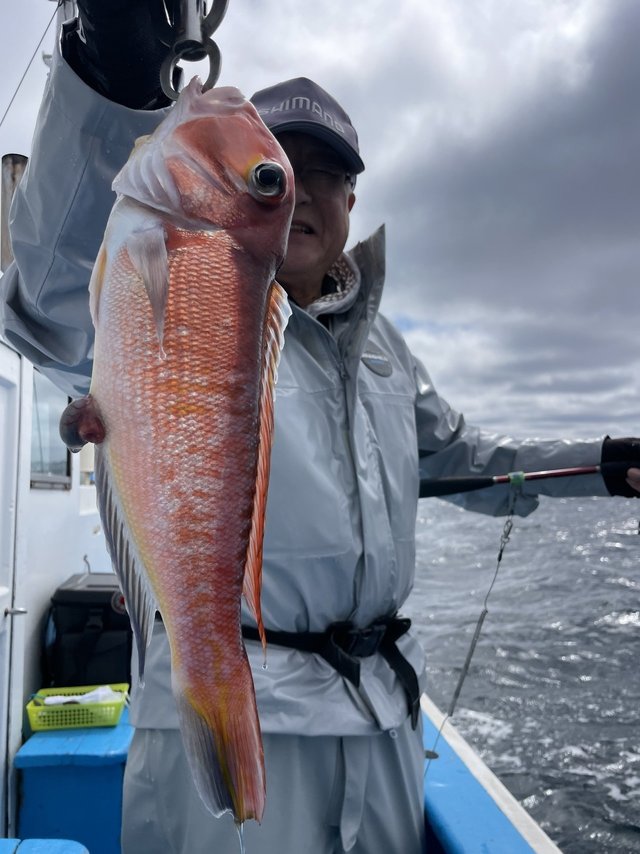 アマダイ(アカアマダイ)