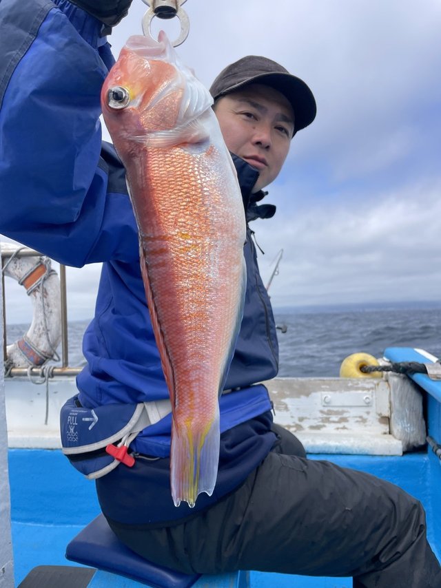 アマダイ(アカアマダイ)