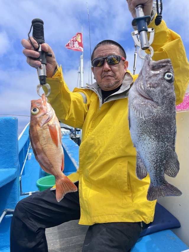 メバル・マゾイ(キツネメバル)