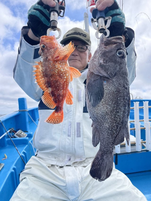 ウッカリカサゴ・マゾイ(キツネメバル)