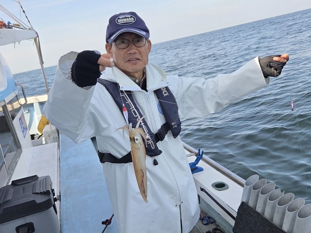 マルイカ(ケンサキイカ)