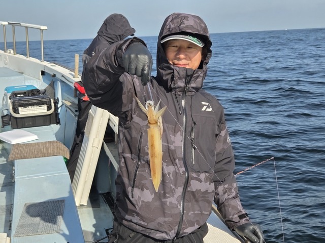 マルイカ(ケンサキイカ)