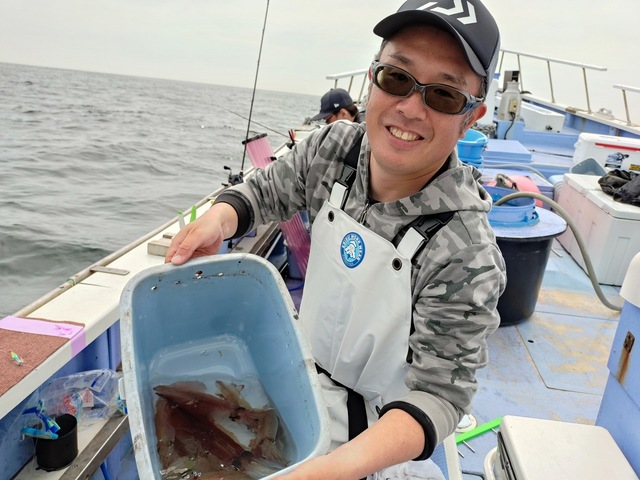 マルイカ(ケンサキイカ)