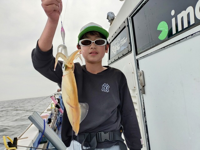 マルイカ(ケンサキイカ)