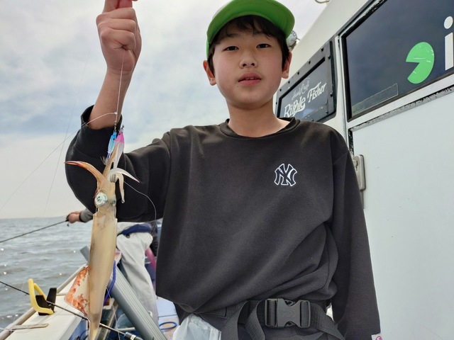 マルイカ(ケンサキイカ)