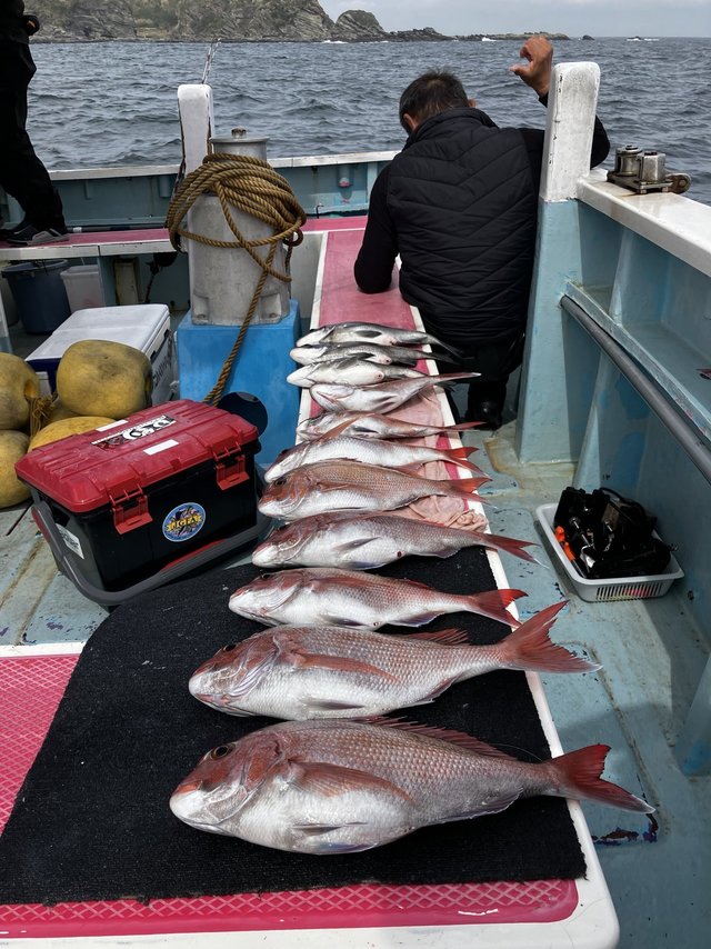 マダイ・クロダイ