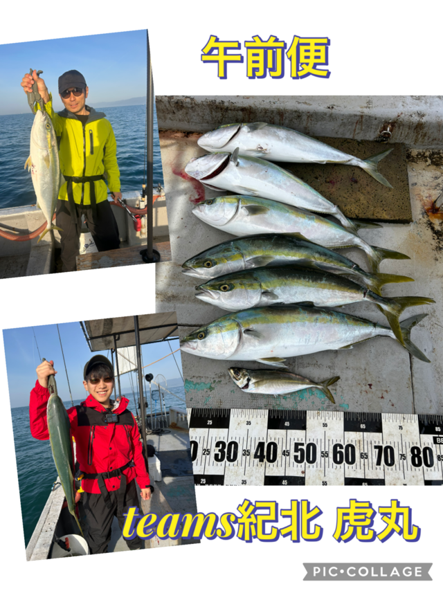 アジ(マアジ)・メジロ(ブリ)