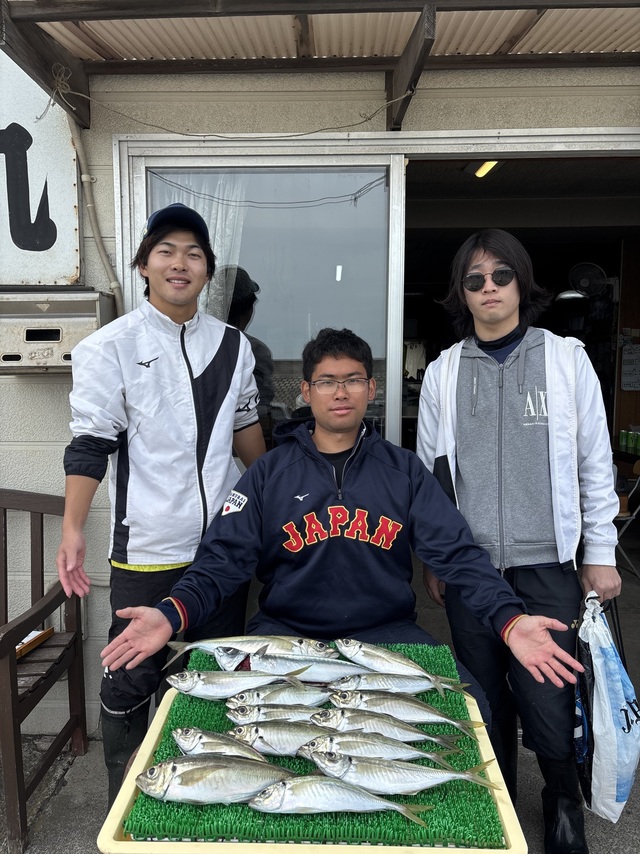 アジ(マアジ)