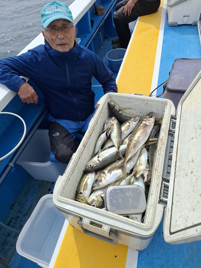 マアジ