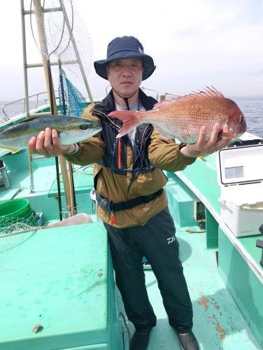 マダイ・イナダ(ブリ)