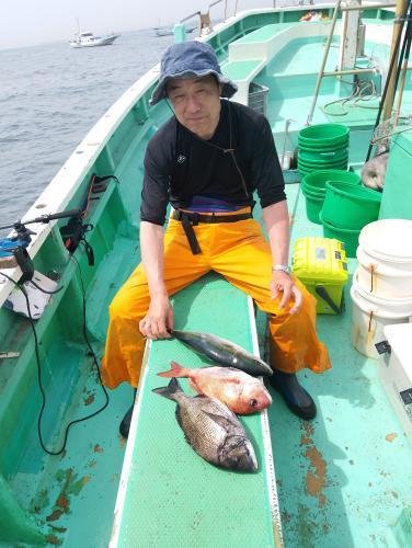 マダイ・クロダイ・イナダ(ブリ)