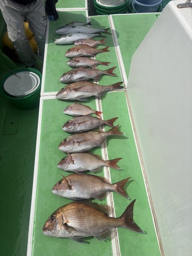 マダイ・ハナダイ(チダイ)・イナダ(ブリ)