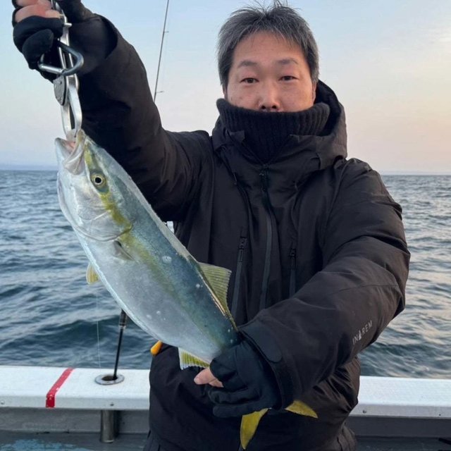 フクラギ(ブリ)