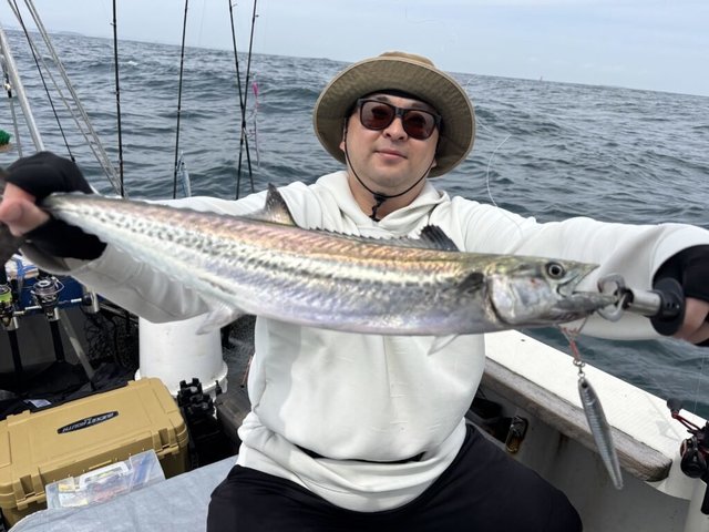 サゴシ(サワラ)