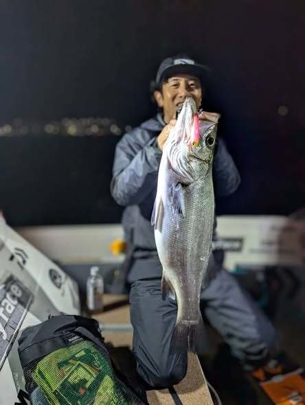 シーバス(スズキ)