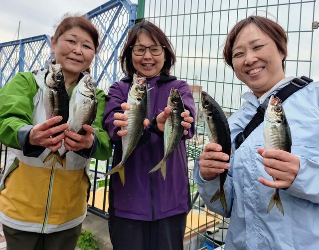 アジ(マアジ)