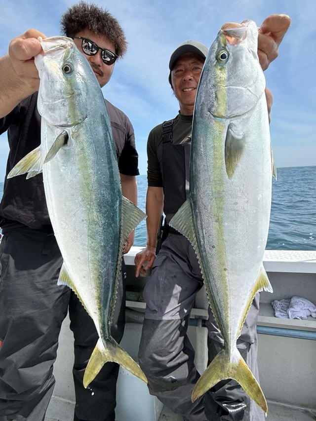 サンパク(ブリ)