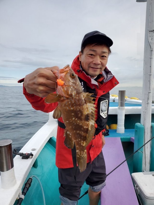 アコウ(キジハタ)