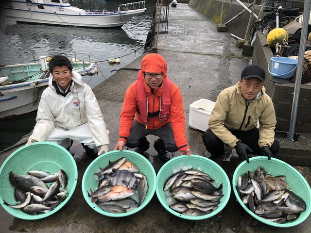 マダイ・メジナ・イシダイ・イサキ