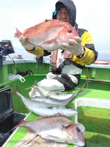 マダイ・イナダ(ブリ)