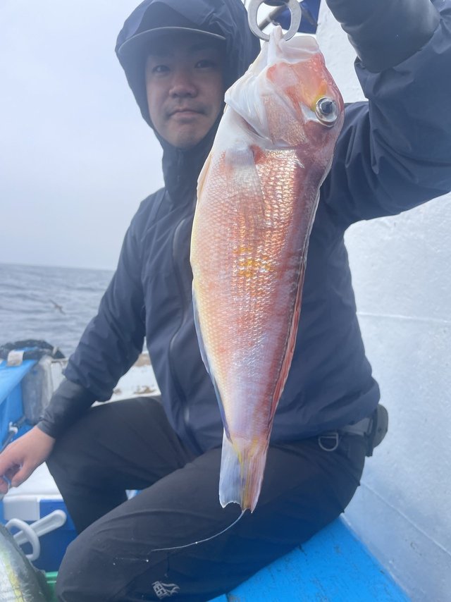 アマダイ(アカアマダイ)