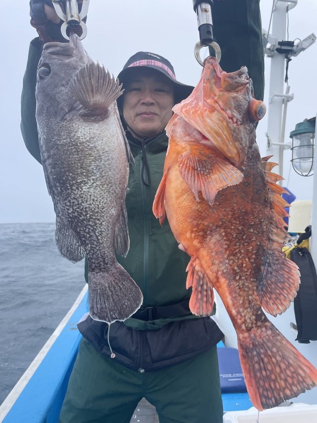 ウッカリカサゴ・マゾイ(キツネメバル)