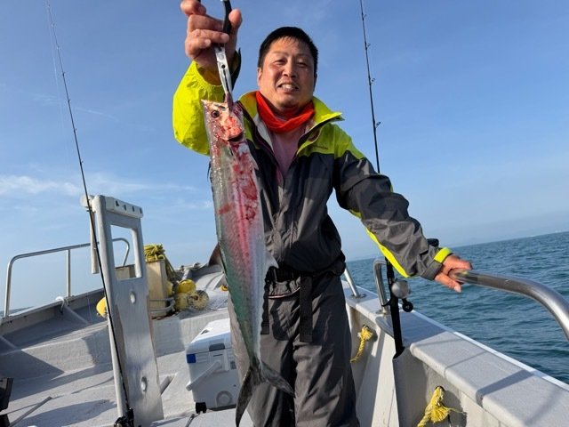 サゴシ(サワラ)