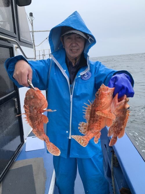 オニカサゴ・オキカサゴ(ウッカリカサゴ)