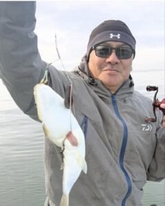 ショウサイフグ