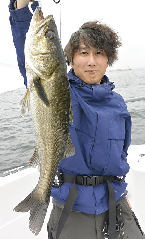 シーバス(スズキ)