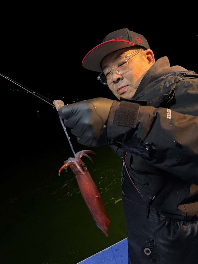 マルイカ(ケンサキイカ)