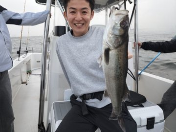 シーバス(スズキ)