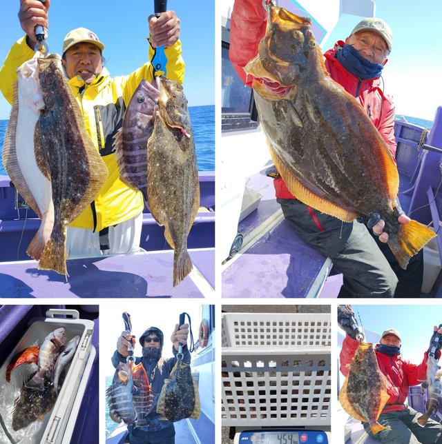 マハタ・ヒラメ