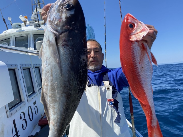 メダイ・オナガダイ(ハマダイ)