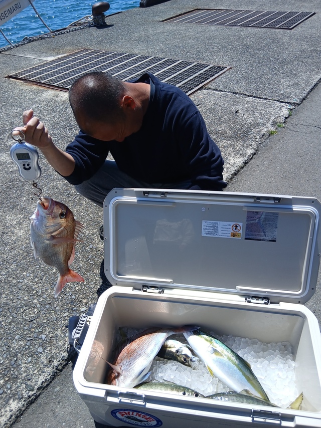 マダイ・マアジ