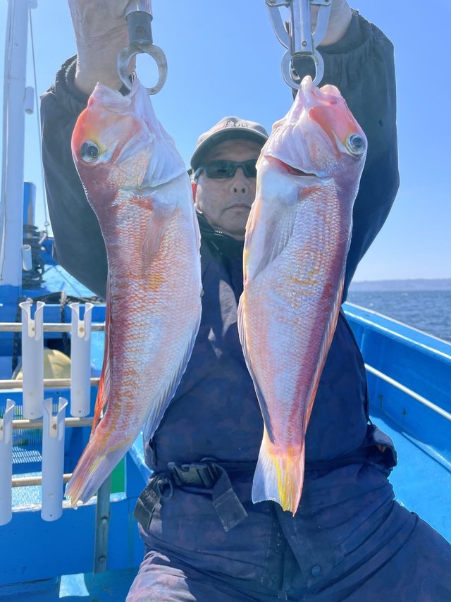 アマダイ(アカアマダイ)