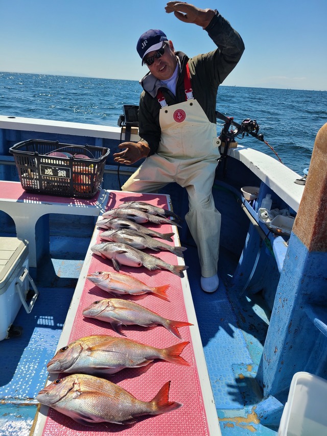 マダイ・クロダイ