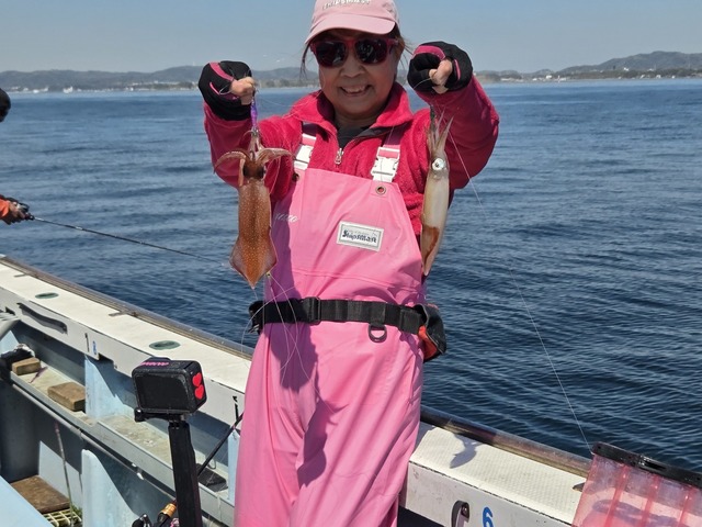 マルイカ(ケンサキイカ)