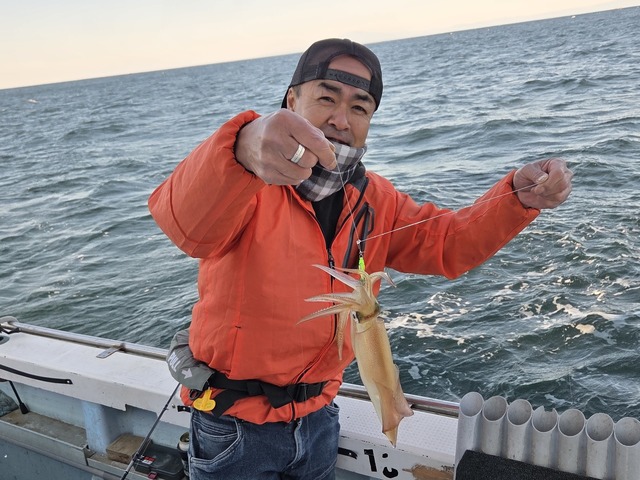 マルイカ(ケンサキイカ)